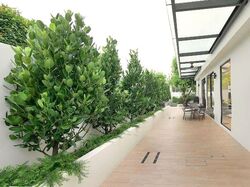 Grace Garden (D15), Terrace #600278241